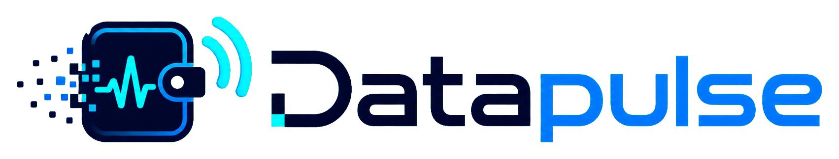 Datapulse